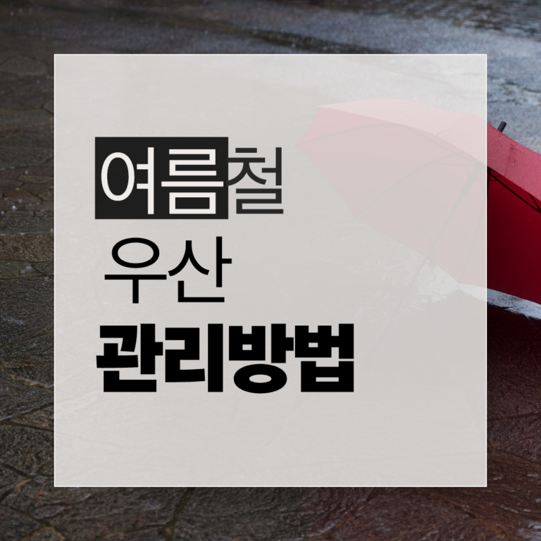 여름철 우산 관리법과 곰팡이 냄새 제거 팁을 정리한 by newsify의 초록색 장마철 생활 인포그래픽 카드뉴스