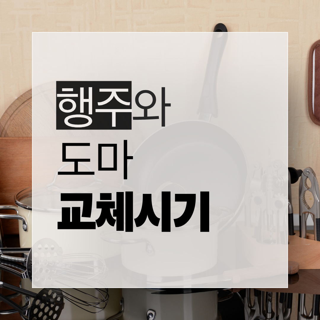 주방행주와 도마 교체시기 신호를 정리한 by newsify의 노란색 주방 위생 인포그래픽 썸네일