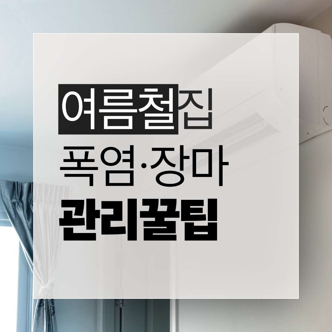 폭염과 장마를 이기는 여름철 쾌적한 집 관리법을 정리한 by newsify의 하늘색 여름철 생활 인포그래픽 썸네일 @newsify