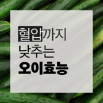 혈압을 낮춰주는 오이 효능과 칼륨 나트륨 배출 효과를 정리한 by newsify의 초록색 건강식품 인포그래픽 썸네일