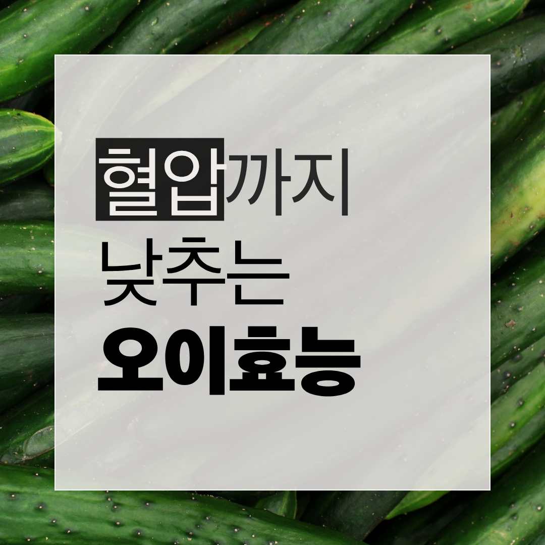 혈압을 낮춰주는 오이 효능과 칼륨 나트륨 배출 효과를 정리한 by newsify의 초록색 건강식품 인포그래픽 썸네일
