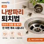 화장실 나방파리 완벽 퇴치법을 정리한 하수구 유충 제거 인포그래픽 썸네일 -@ [newsify]제작